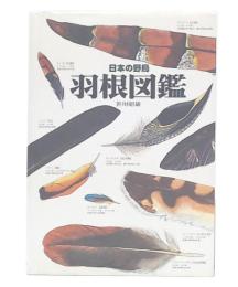 日本の野鳥　羽根図鑑