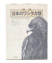 図鑑日本のワシタカ類