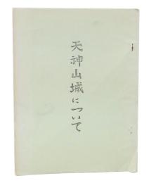 天神山城について