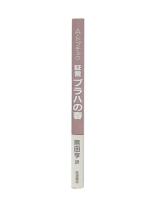 証言プラハの春