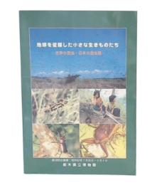 地球を征服した小さな生きものたち : 世界の昆虫・日本の昆虫展