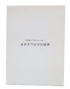 オオクワガタの世界　(日本産クワガタムシ1)
