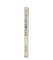 ソンブレロは風まかせ : メキシコ旅日記