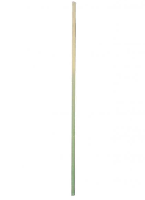 往生とは解放されつづけること