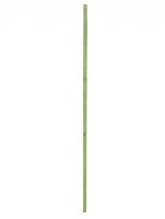 つながって生きるために　多磨全生園交流会講義録