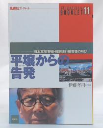 平壌からの告発 : 日本軍「慰安婦」・強制連行被害者の叫び