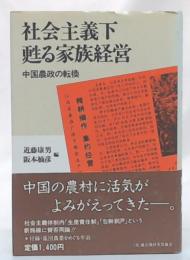 社会主義下甦る家族経営 : 中国農政の転換