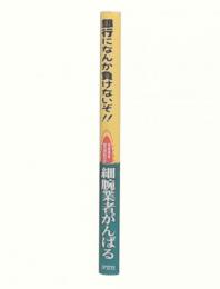 銀行になんか負けないぞ!! : 零細業者宮田和子奮闘記