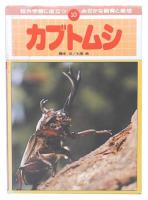 カブトムシ
