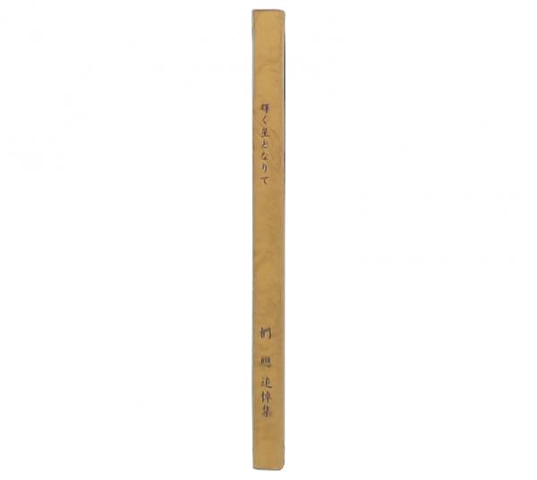Amazon.com: 戦国武将逸話集―訳注『常山紀談』巻一‐七