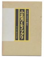 小正月とモノツクリ : 埼玉西北部を中心に 写真と文字で綴る