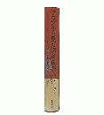 アラブから見た湾岸戦争