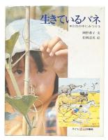 生きているバネ : 自然の中にみつける