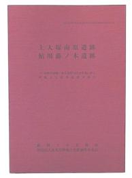 上大塚南原遺跡・鮎川藤ノ木遺跡