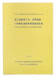 道上遺跡第3次・合野遺跡・小林繁長遺跡発掘調査報告書