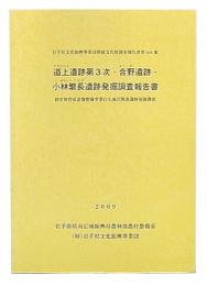 道上遺跡第3次・合野遺跡・小林繁長遺跡発掘調査報告書