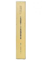 三条遺跡第2・3次発掘調査報告書　表編/本文・挿図編/図版・付編編