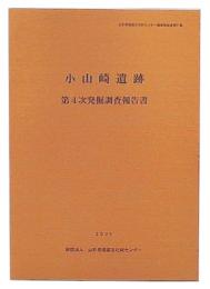 小山崎遺跡　第4次発掘調査報告書