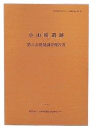 小山崎遺跡　第4次発掘調査報告書