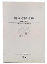 飛泉寺跡遺跡　発掘調査報告書