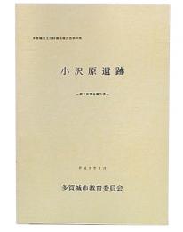 小沢原遺跡 : 第3次調査報告書