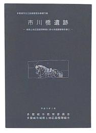 市川橋遺跡　城南土地区画整理事業に係る発掘調査報告書　2