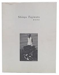 藤原新也　shinya fujiwara