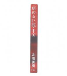 病める巨龍・中国