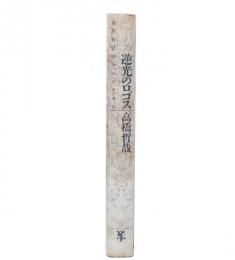 逆光のロゴス : 現代哲学のコンテクスト