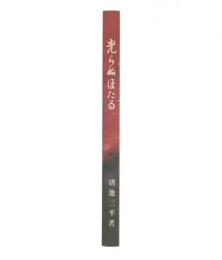 光らぬほたる : ある児童養護施設の記録