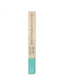 美しき少年の理由なき自殺