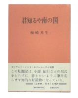 君知るや南の国