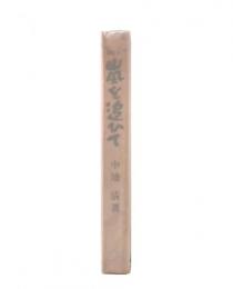 長篇小説　嵐を追ひて