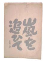 長篇小説　嵐を追ひて