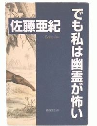 でも私は幽霊が怖い