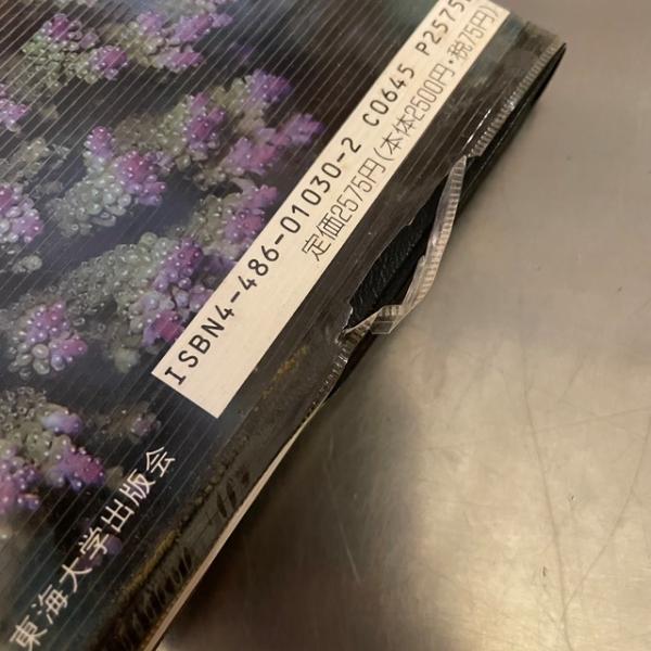 フィールド図鑑 造礁サンゴ(西平守孝 解説・写真) / 古書みすみ / 古本、中古本、古書籍の通販は「日本の古本屋」