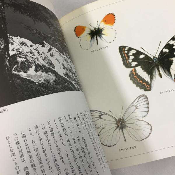 安曇野の蝶 : 山の絵本(田淵行男 著) / 古本、中古本、古書籍の 安曇野の蝶 : 山の絵本(田淵行男 著) / 古本、中古本、古書籍の