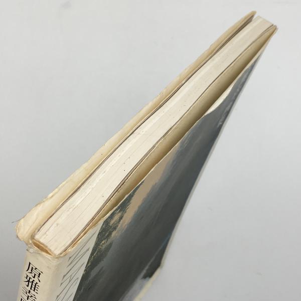 原雅幸画集(原 雅幸【著】) / 古本、中古本、古書籍の通販は「日本の
