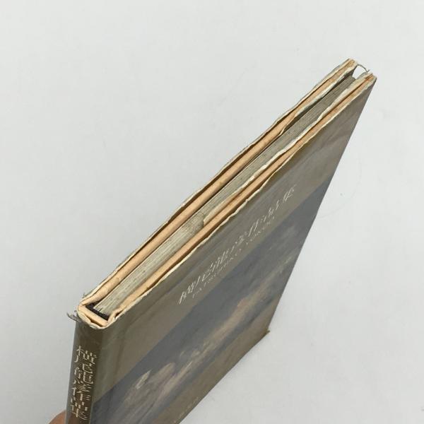横尾龍彦作品集 エクリチュール叢書3(横尾龍彦) / 古本、中古本、古 