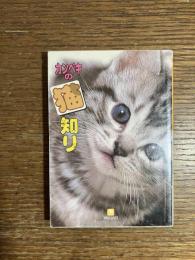 カンペキの猫知り