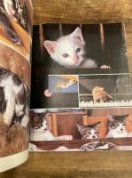 猫バラエティムック : All about cats
