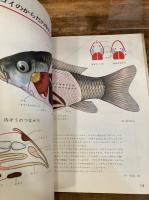 科学クラブ　5年生2号