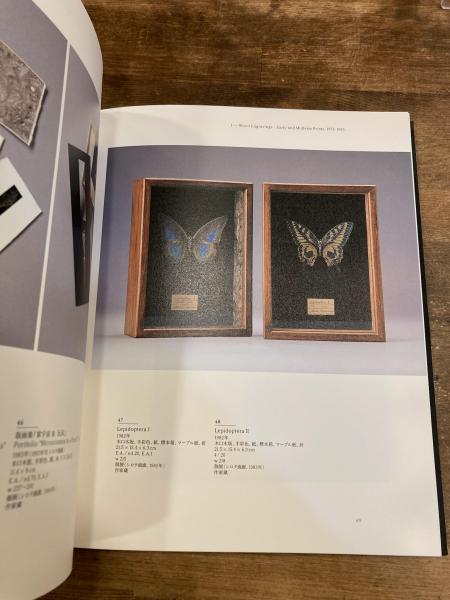 柄澤齊展 版画、オブジェ、水彩、本 1971-2006(栃木県立美術館, 神奈川 