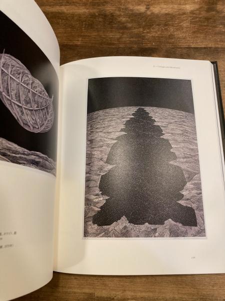 柄澤齊展 版画、オブジェ、水彩、本 1971-2006(栃木県立美術館, 神奈川 