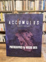 ACCUMULUS : Earthwork of Fallen Leaves