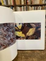 ACCUMULUS : Earthwork of Fallen Leaves