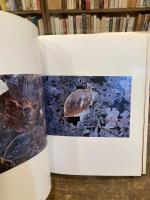 ACCUMULUS : Earthwork of Fallen Leaves