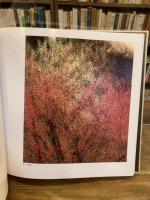 竹見義雄写真作品集