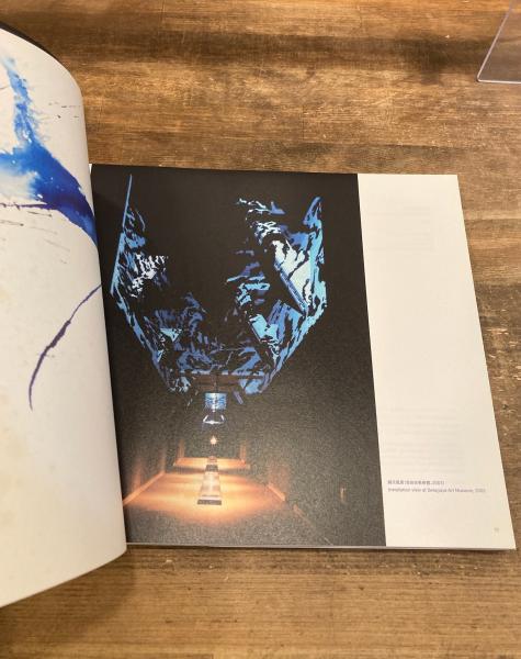 石田尚志 渦まく光 SHIDA Takashi Billowing Light (石田尚志 [作] ; 横浜美術館, 沖縄県立博物館・美術館 ...