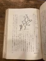 少年少女科学